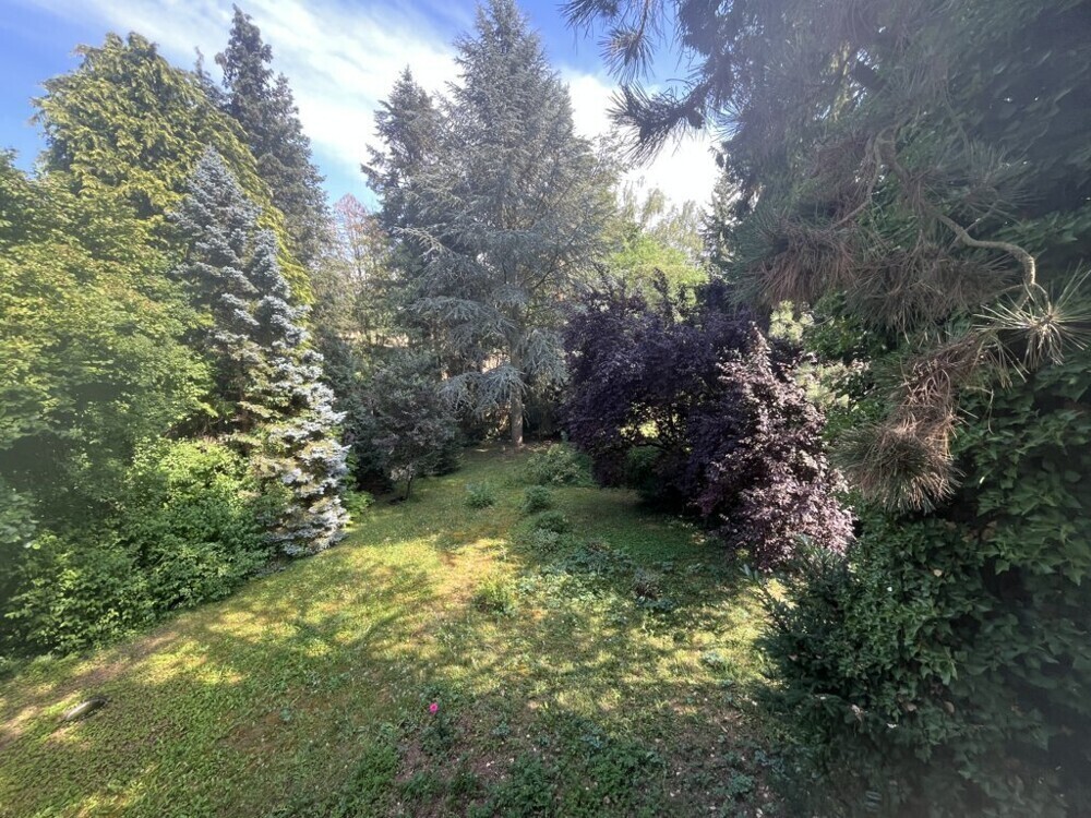 Aussicht Garten