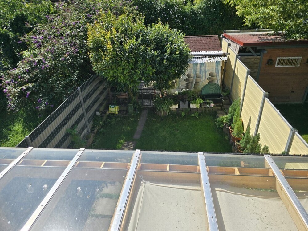 Blick in den Garten
