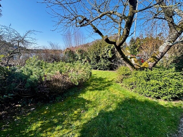 Blick in den Garten