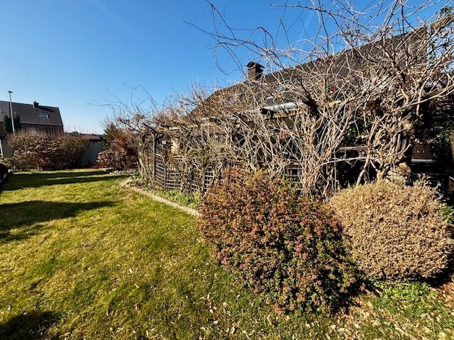 Blick in den Garten 