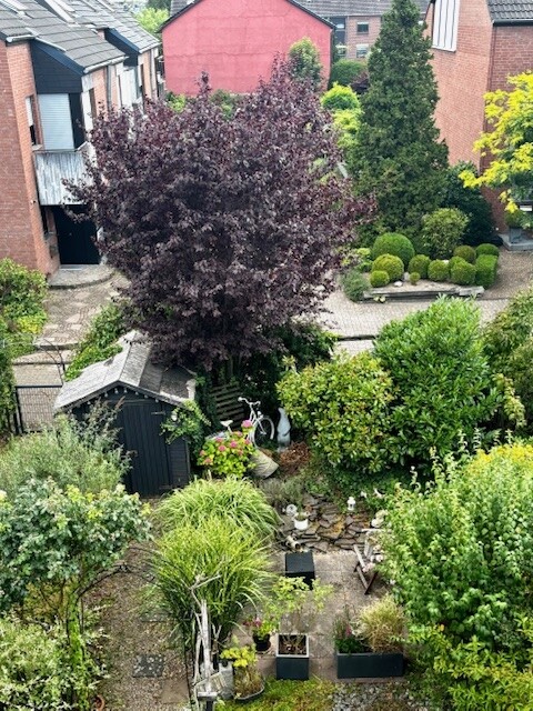 Blick in den Garten