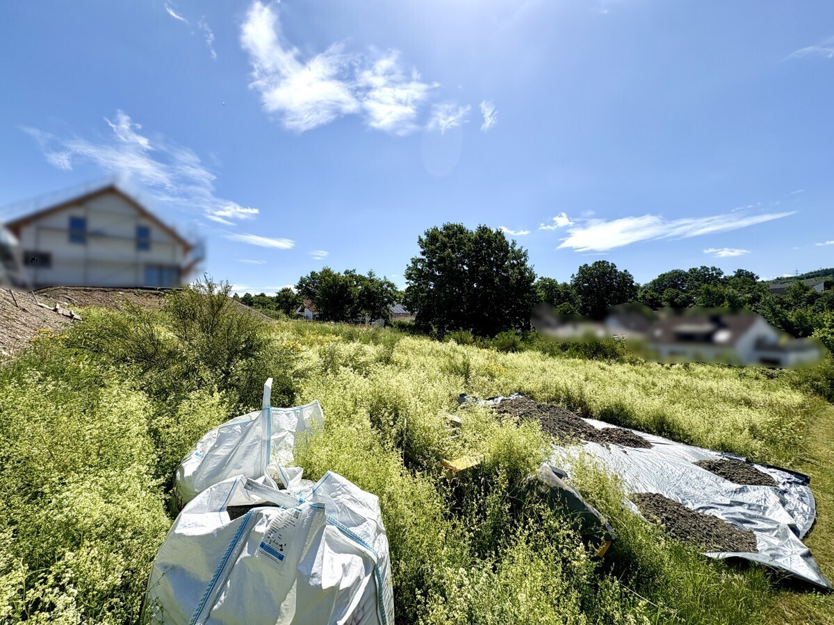 Immobilienbild