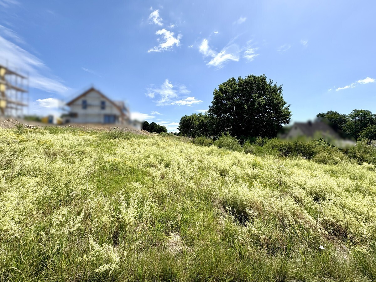 Immobilienbild