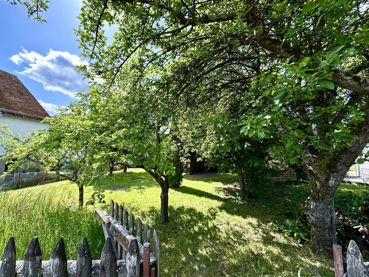 Immobilienbild