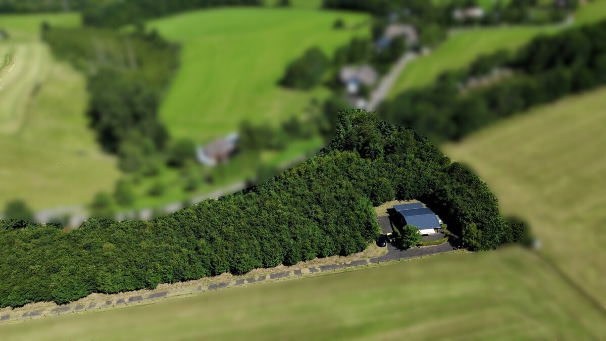 Draufsicht
