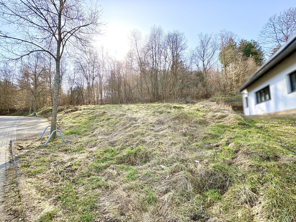 Immobilienbild