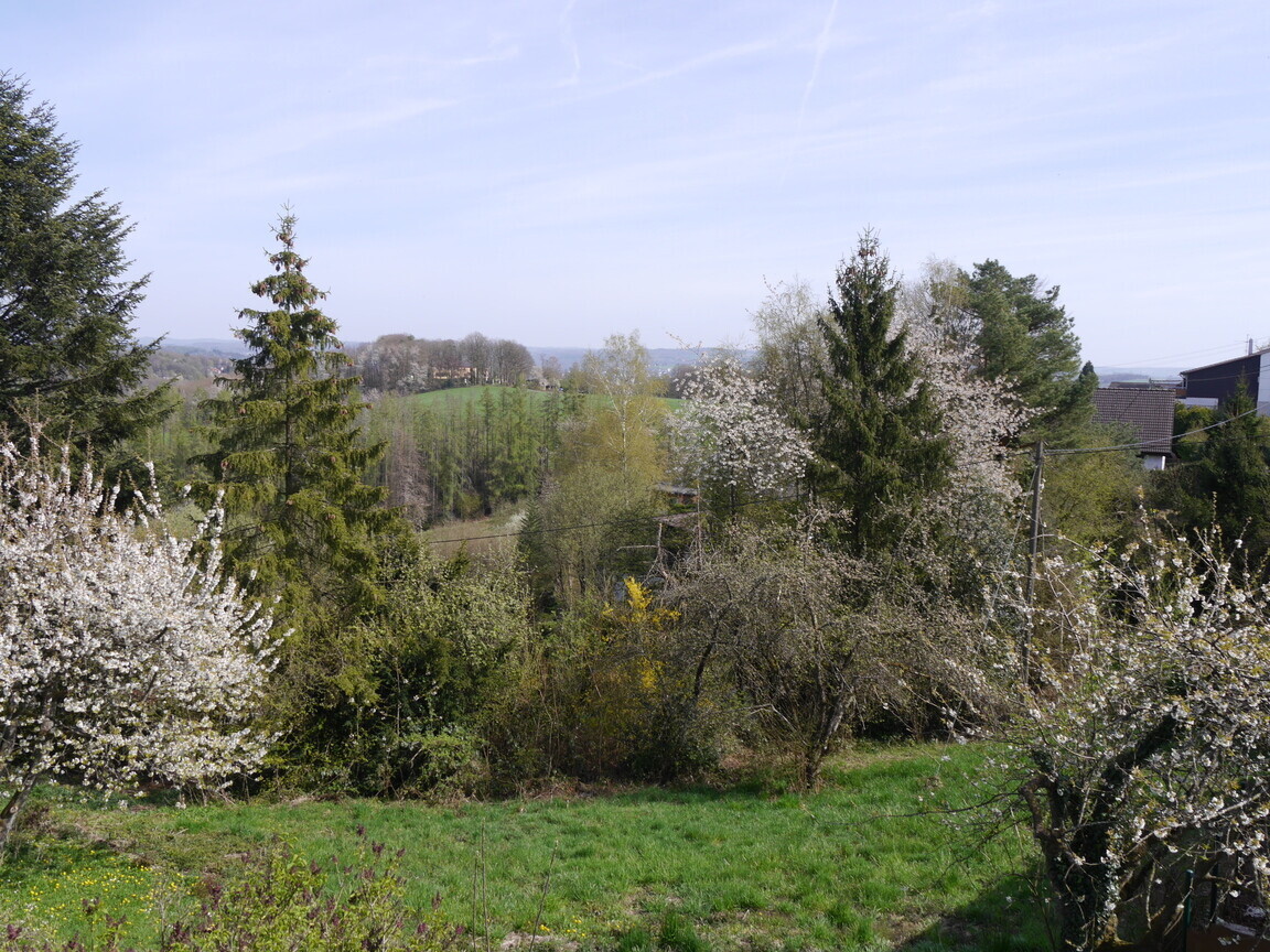 Aussicht