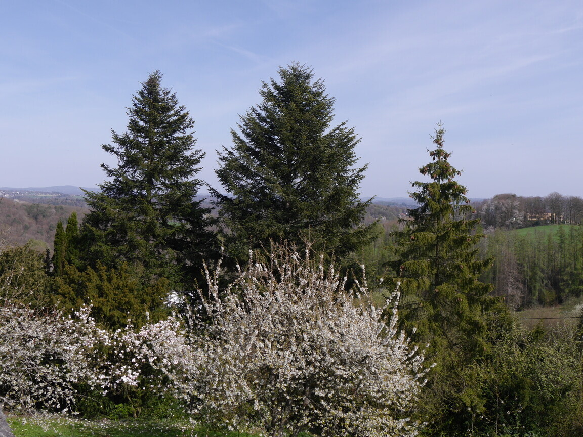 Aussicht
