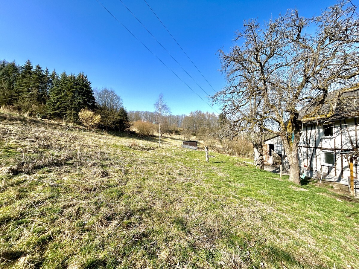 Weide für Tiere