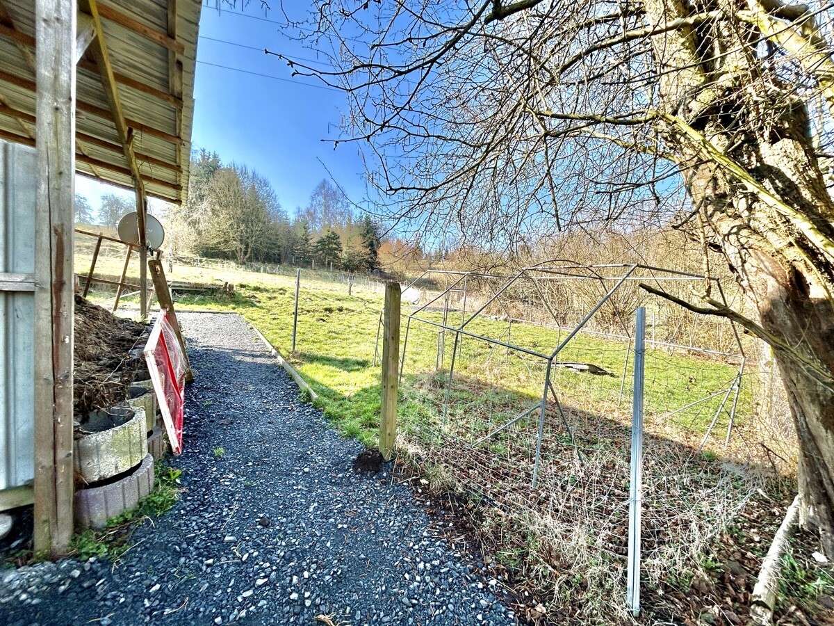 Garten neben dem Haus