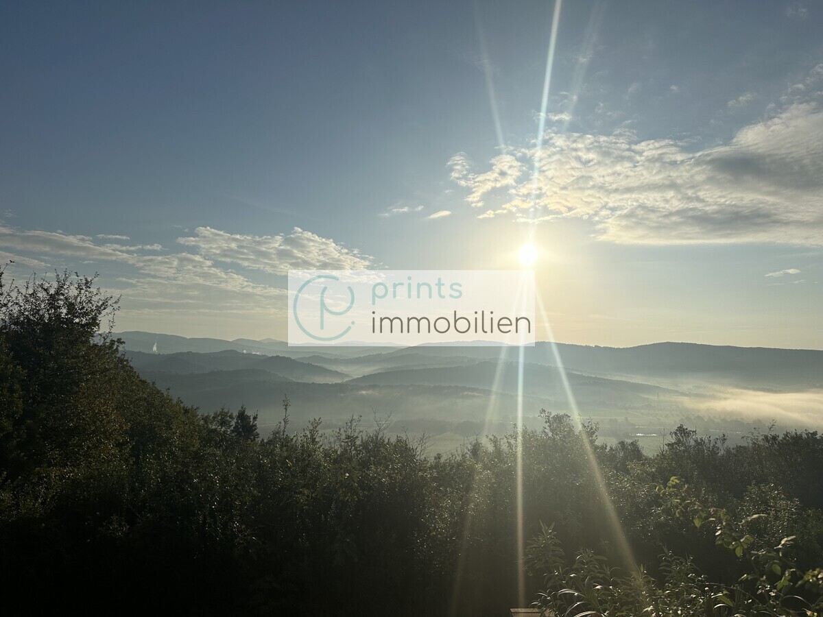 Blick über die Felder