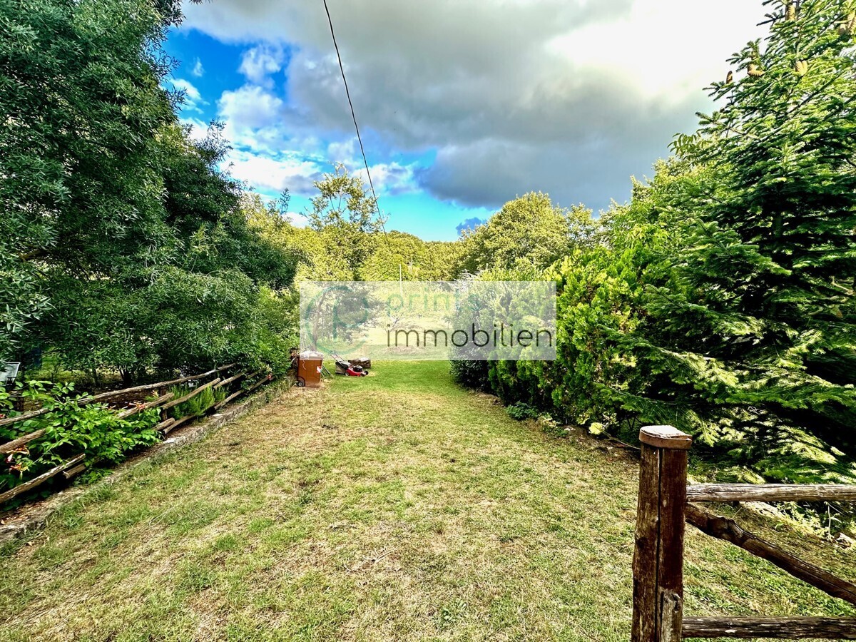 Blick zum Garten