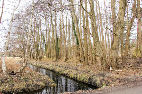 Süden Grundstück