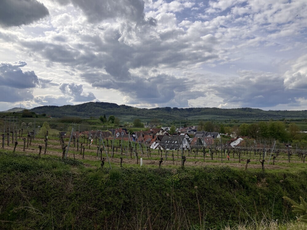 Blick zum Eichelspitzturm