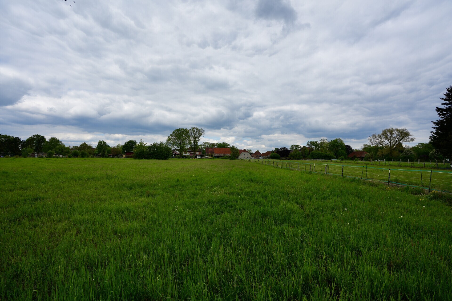 Grünfläche