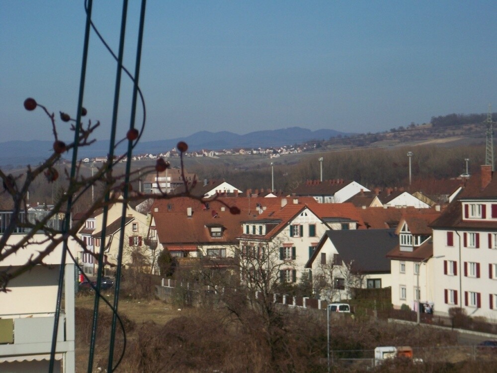 penthaus_S10 007
