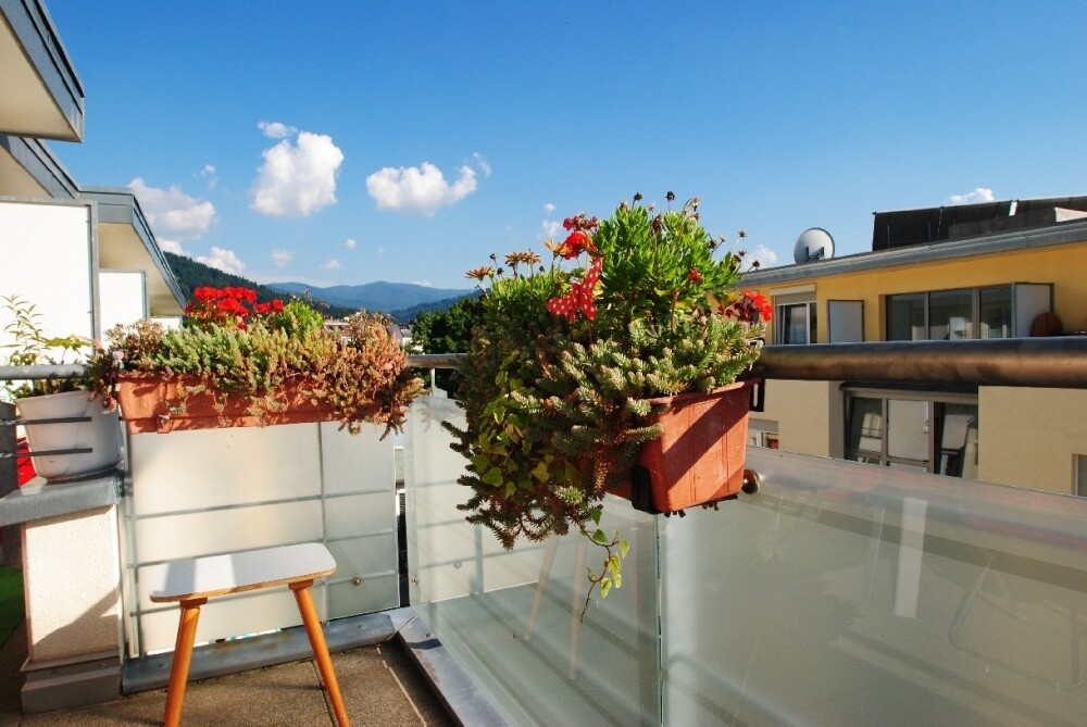 Immobilienbild