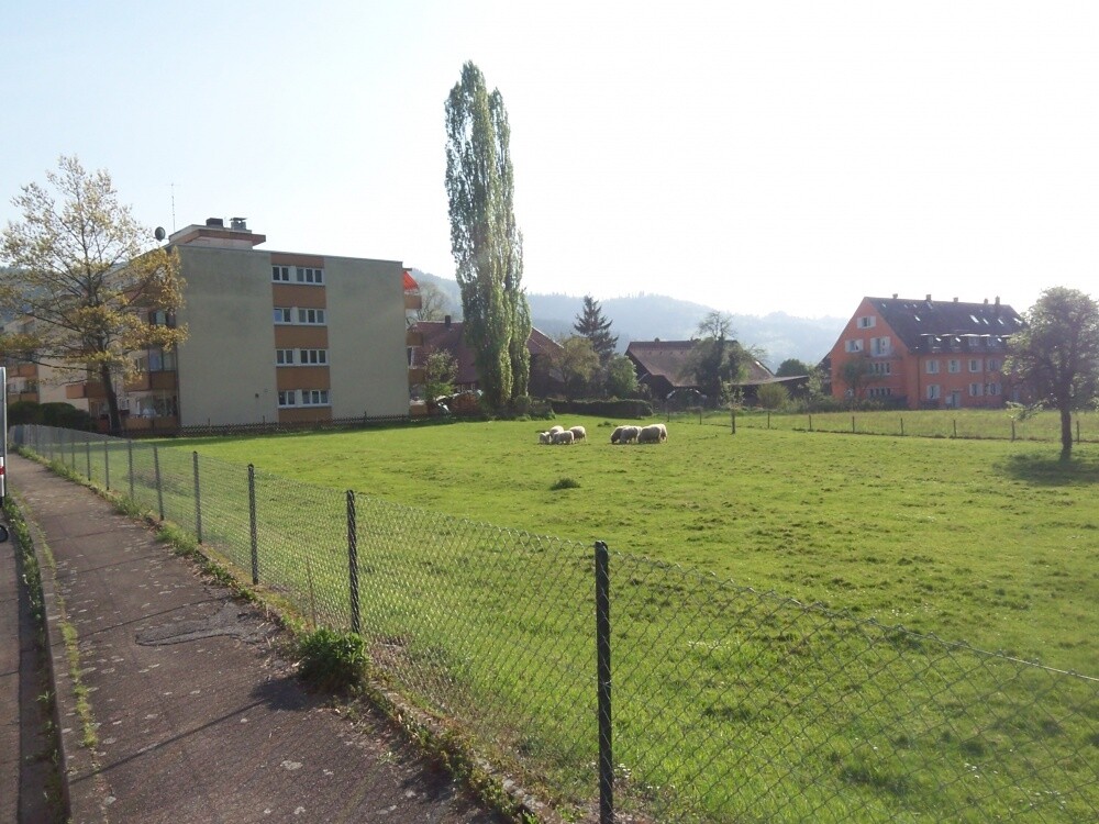 Vor dem Hause