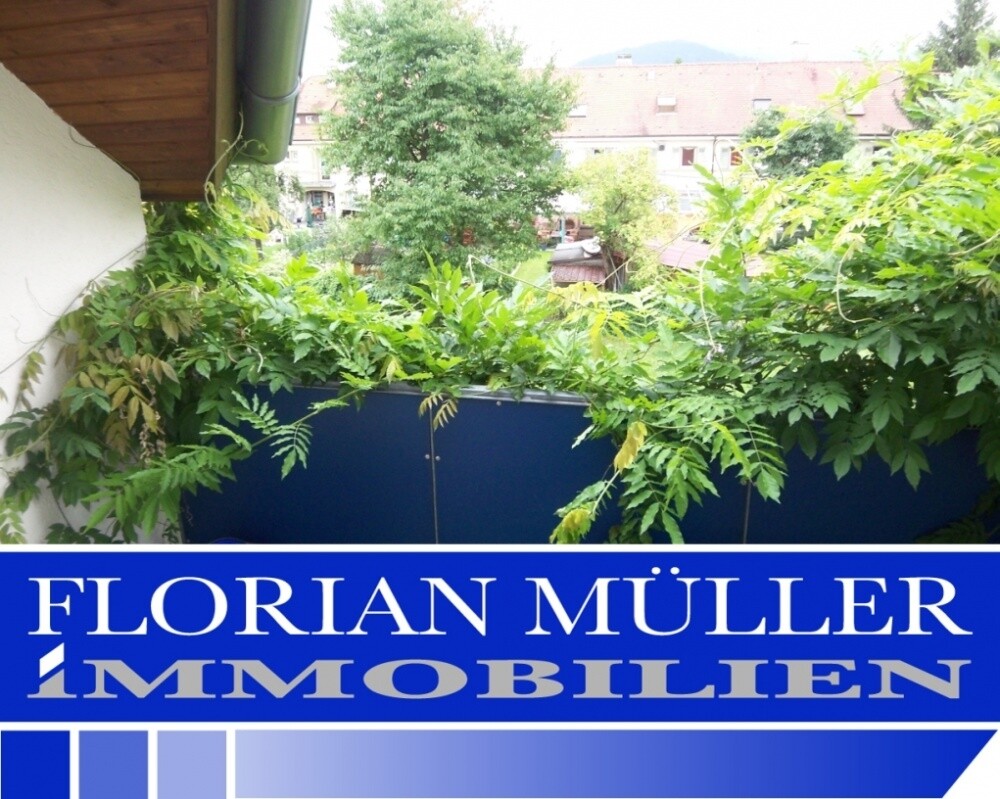 Immobilienbild