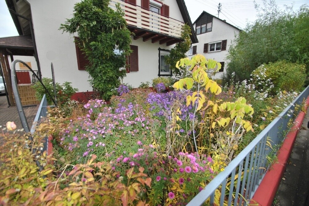 Immobilienbild