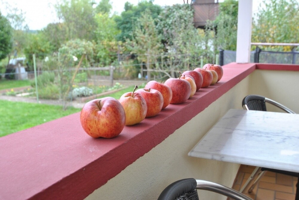 Immobilienbild