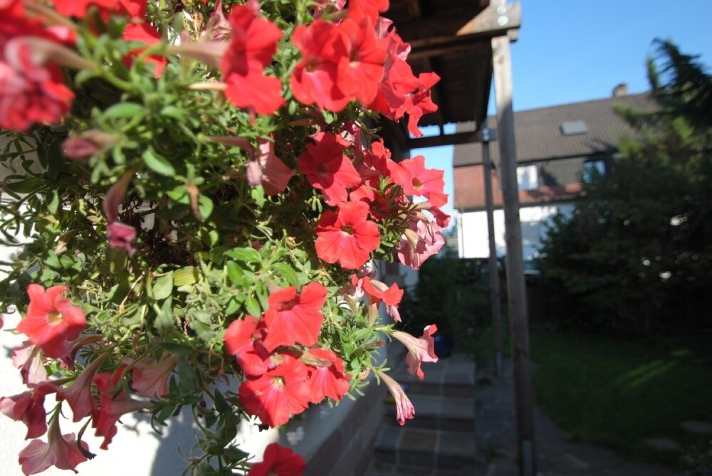 Immobilienbild