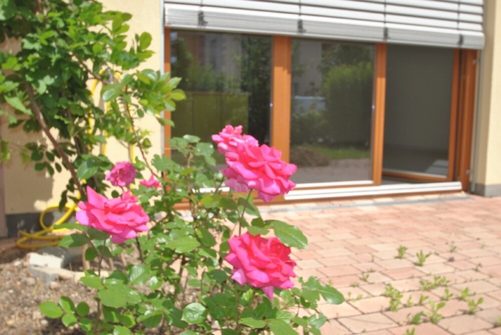 Immobilienbild