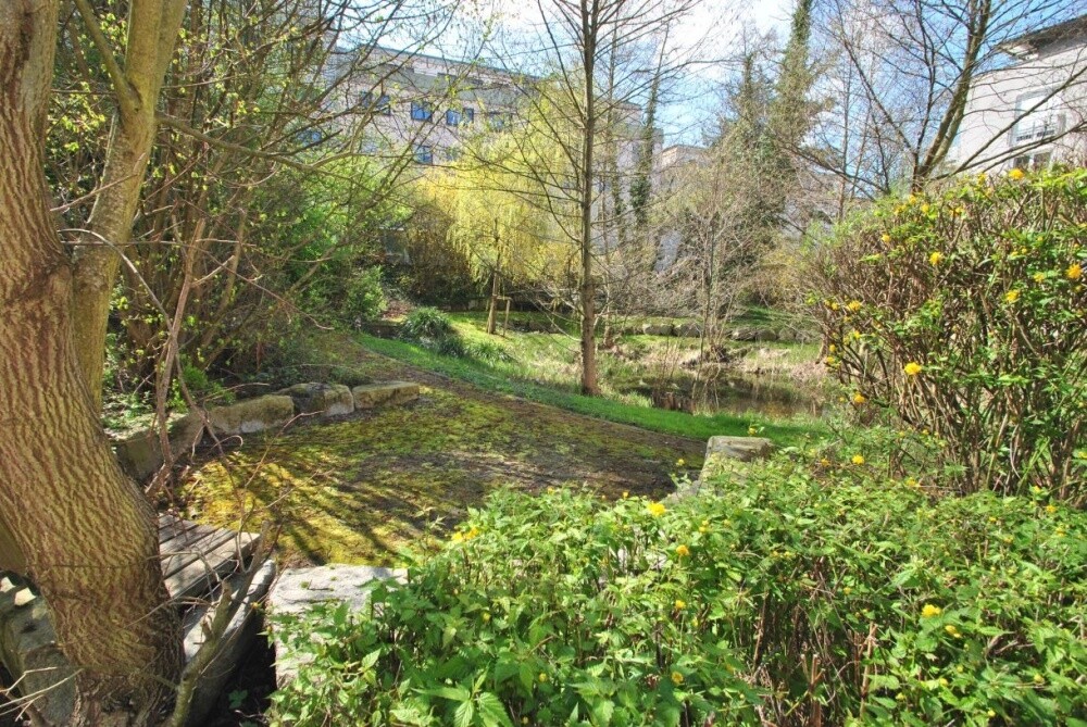 Der Park ist Ihr Nachbar