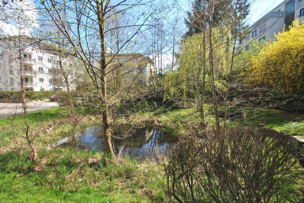Immobilienbild