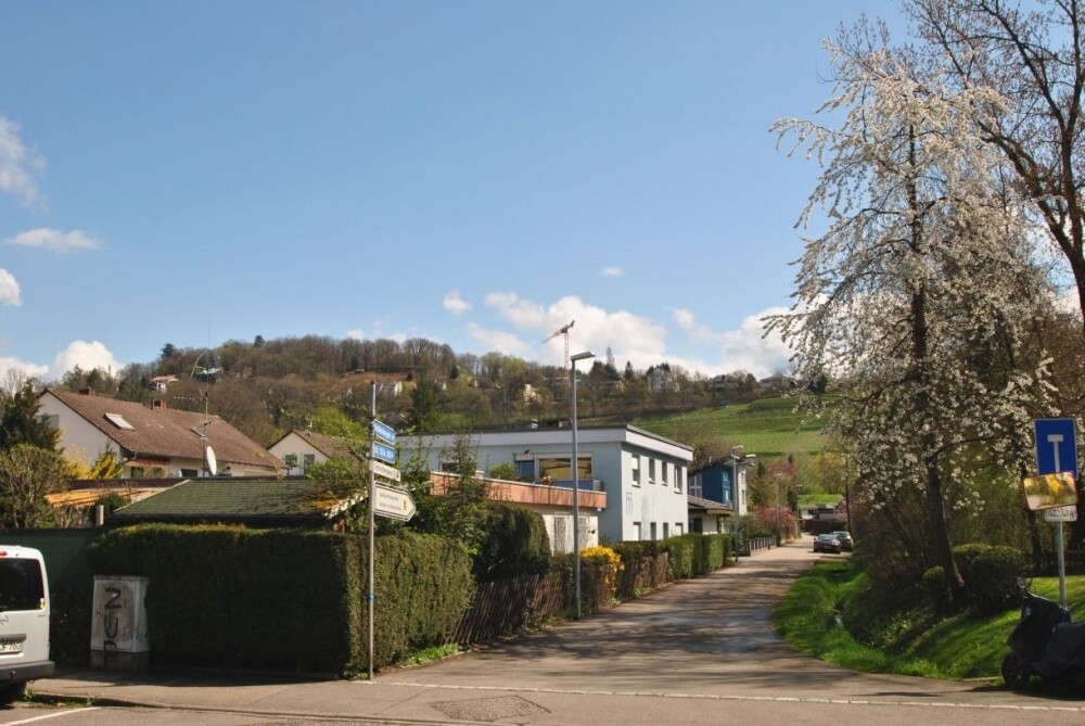 Vor der Haustüre gleich los spazieren und den Schlierberg genießen