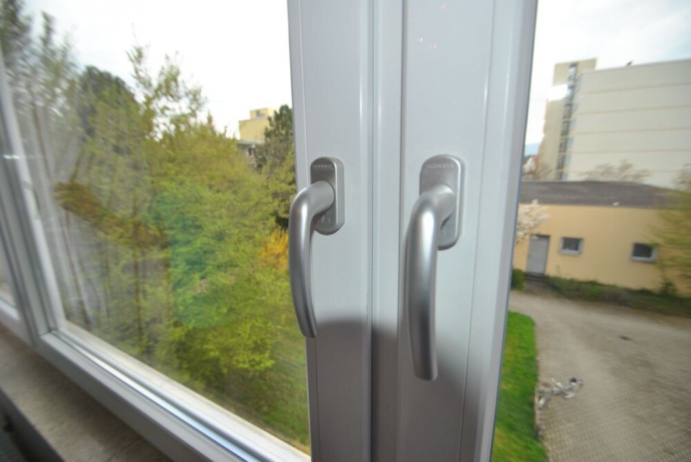 1993 erneuerte Fenster 
