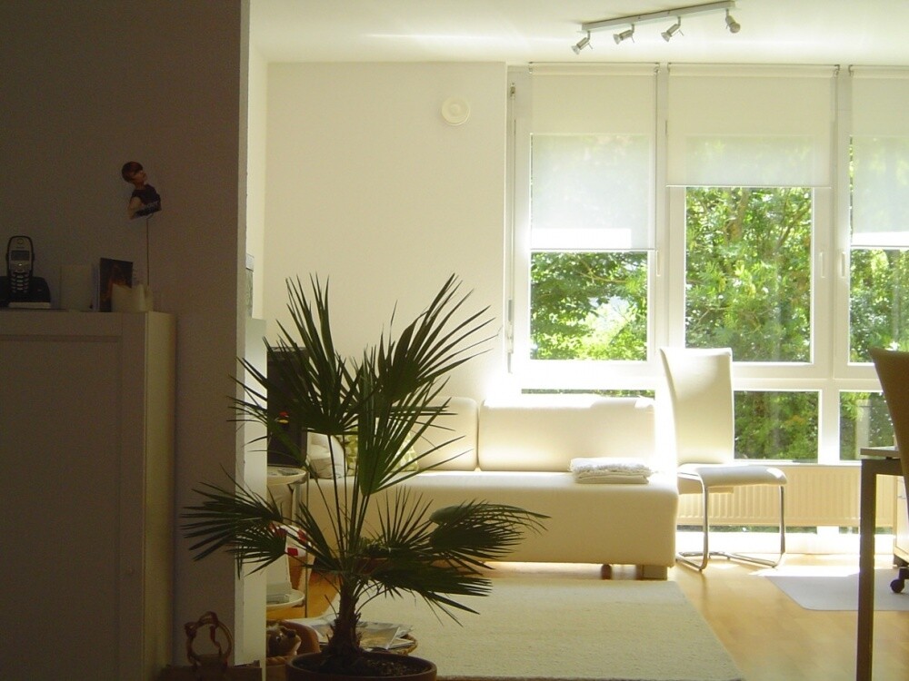 Immobilienbild