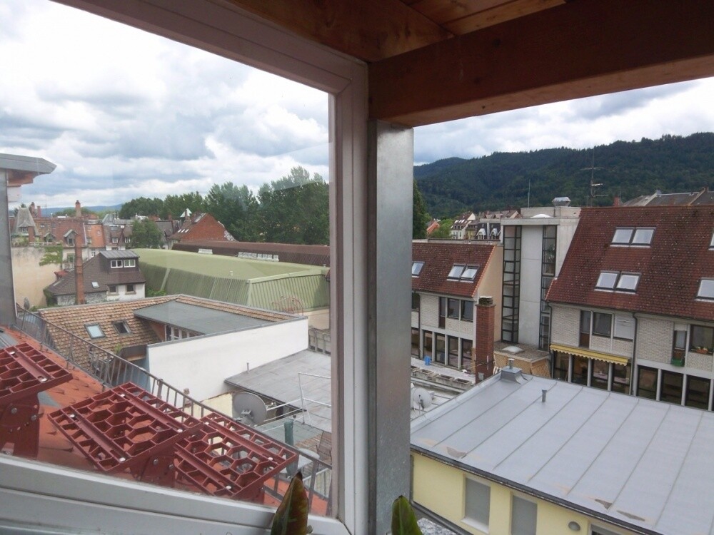 Weitblick über die Dächer Freiburgs