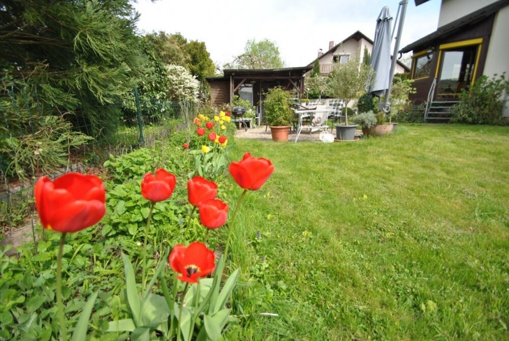 Immobilienbild
