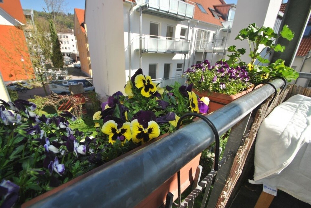 Immobilienbild