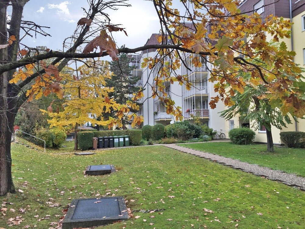 Gepflegtes Gartengrundstück