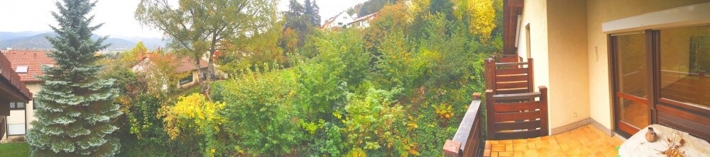 Herrliche Aussichten