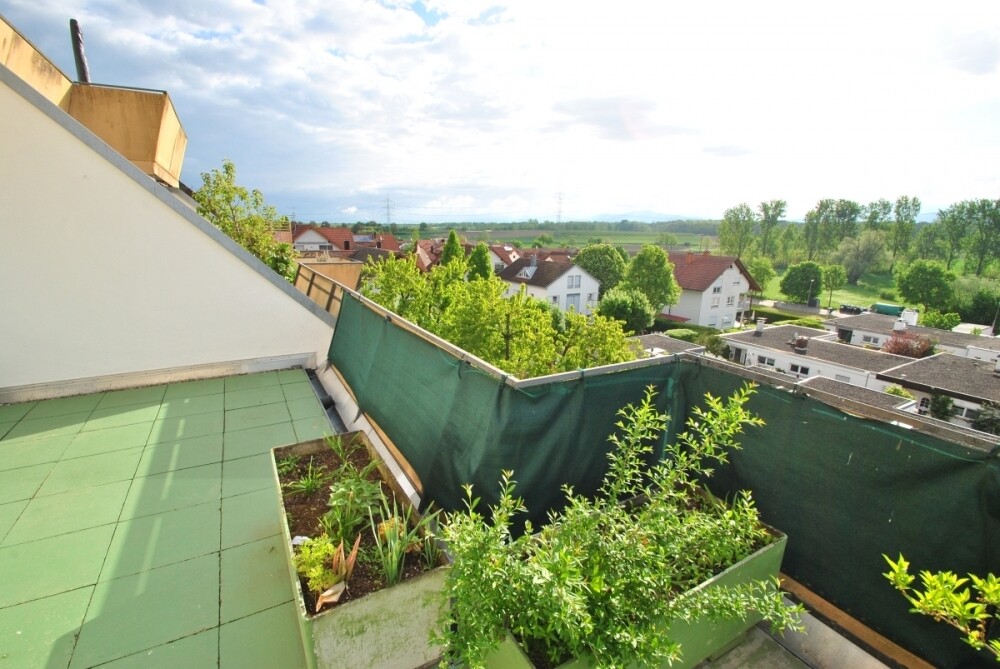 Immobilienbild