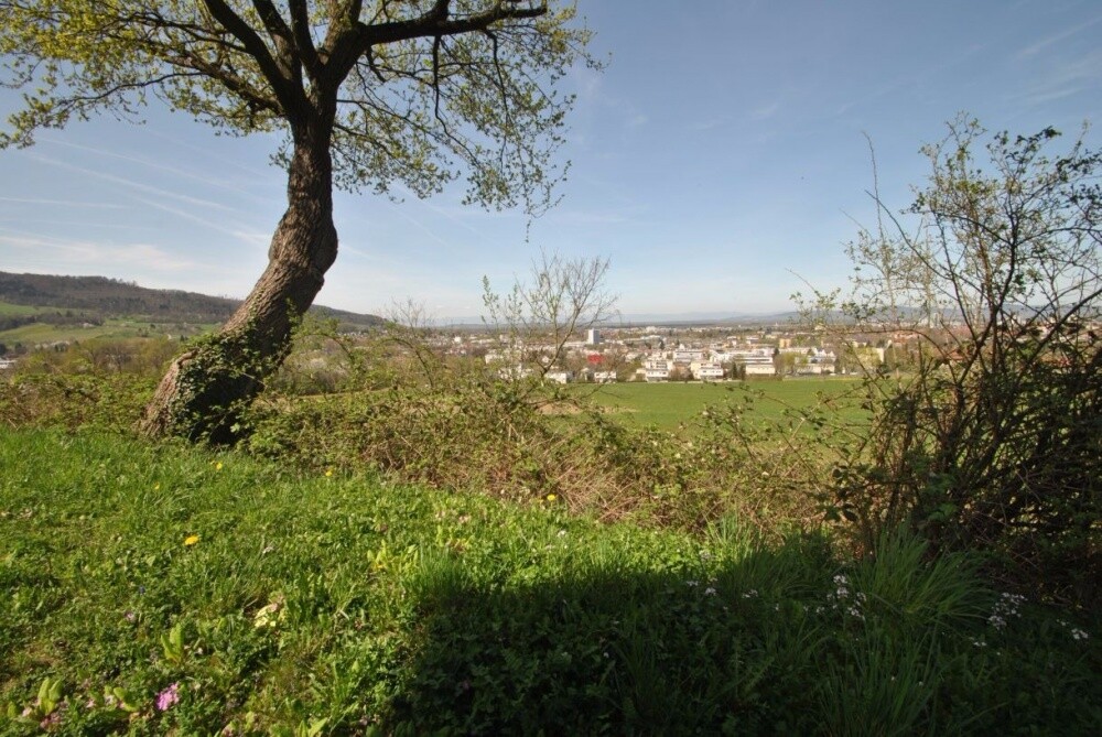 Immobilienbild