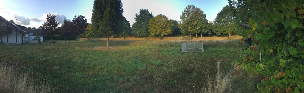 Blick vom Grundstück auf das Ufer der Möhlin 
