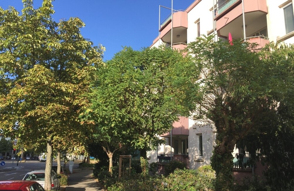 Immobilienbild