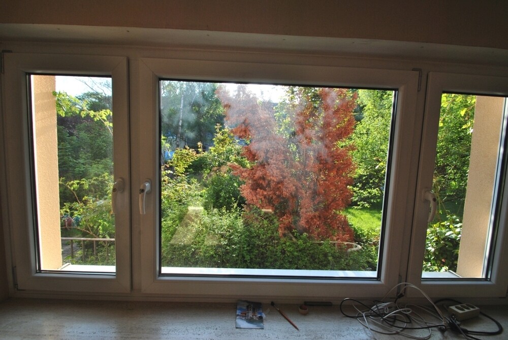 Immobilienbild