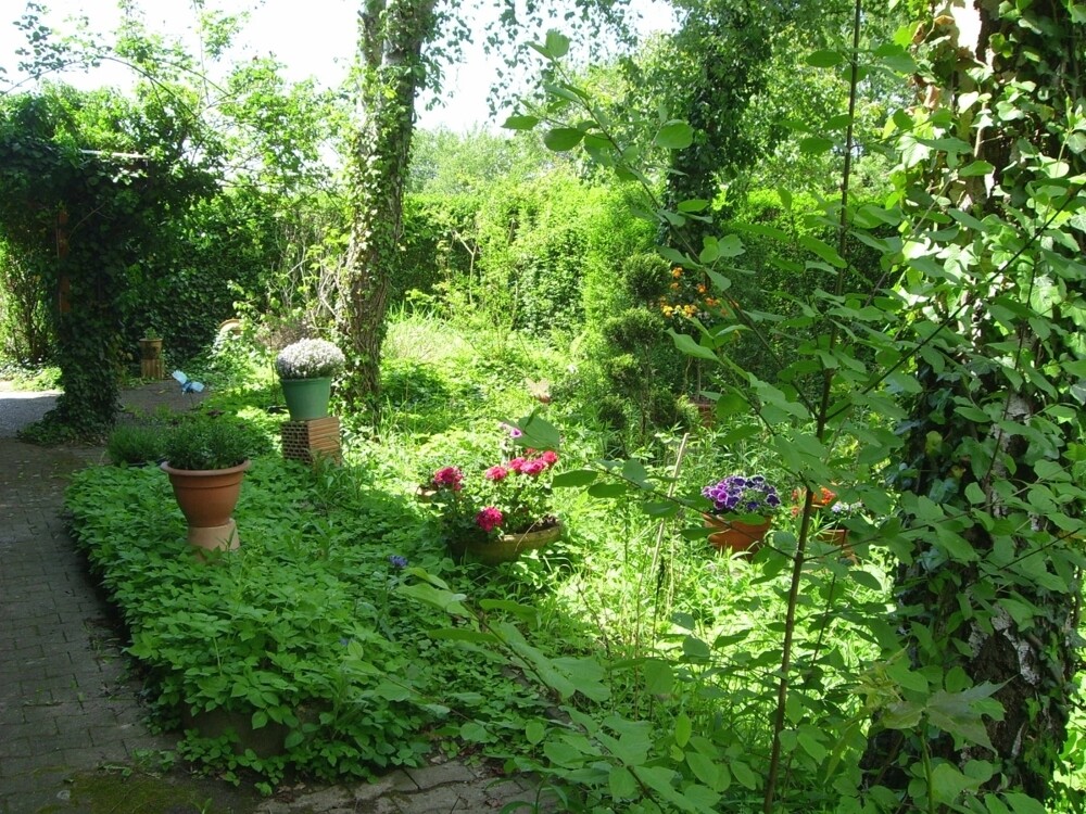 Immobilienbild