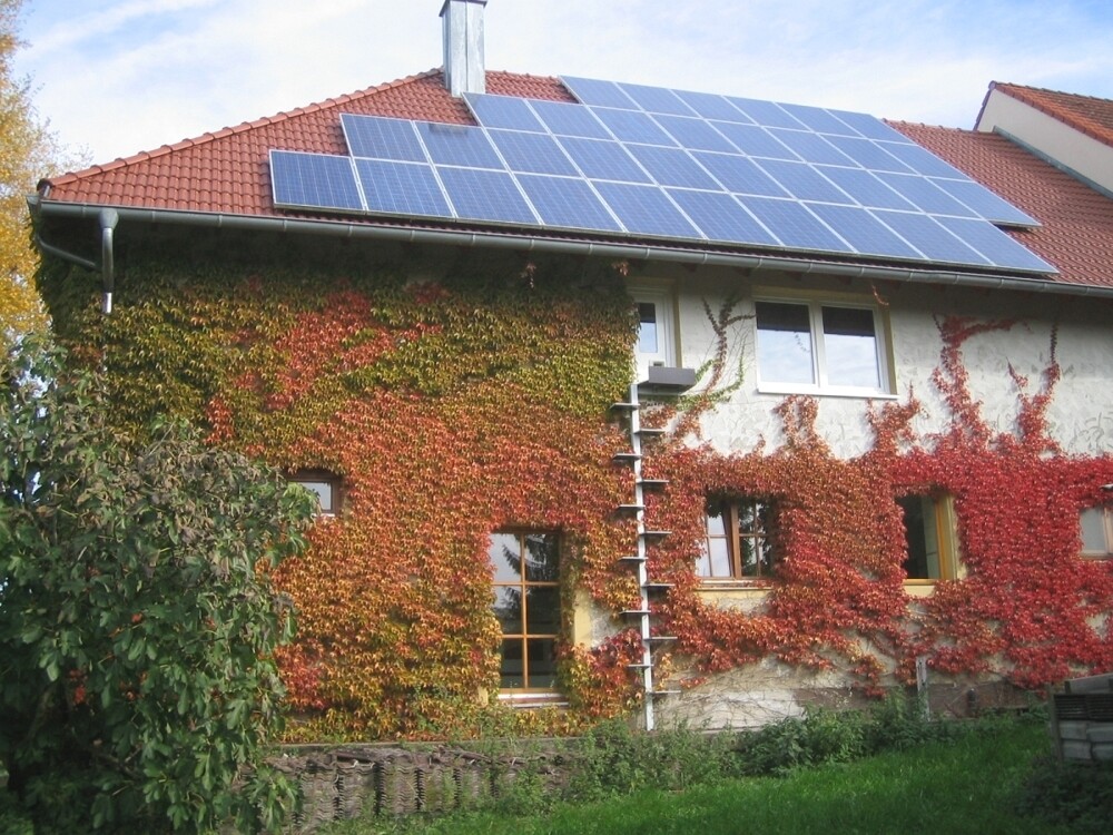 Immobilienbild