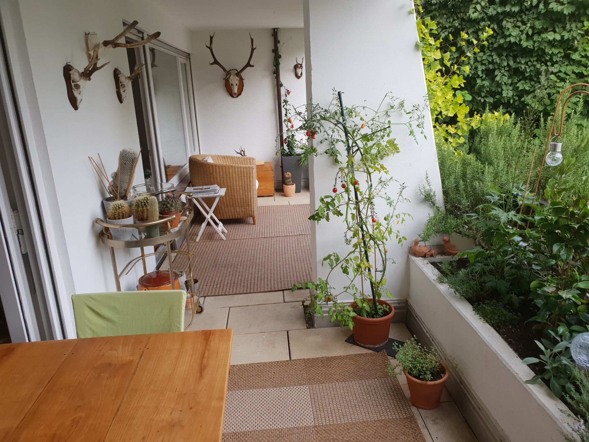 Immobilienbild