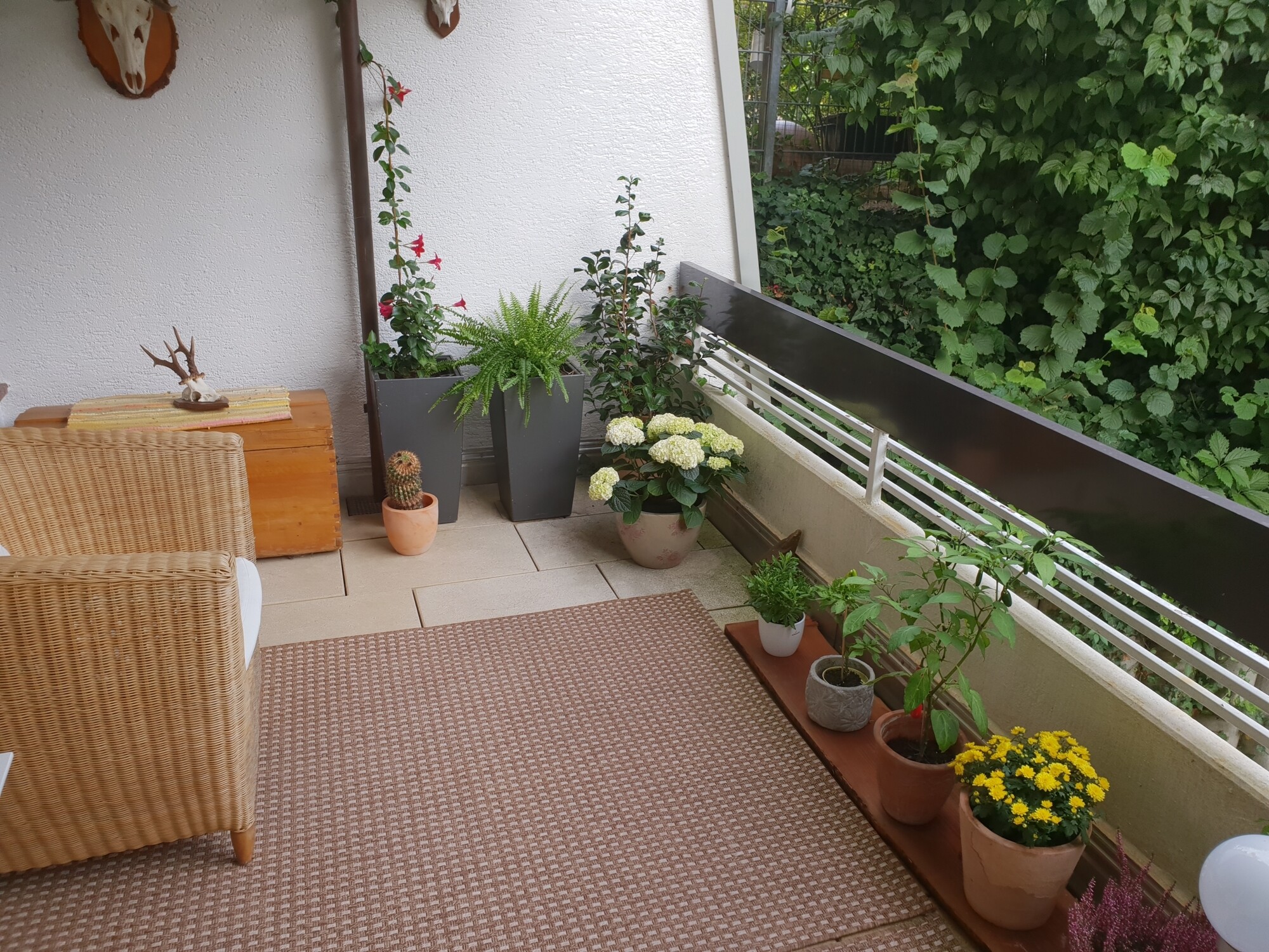 Immobilienbild