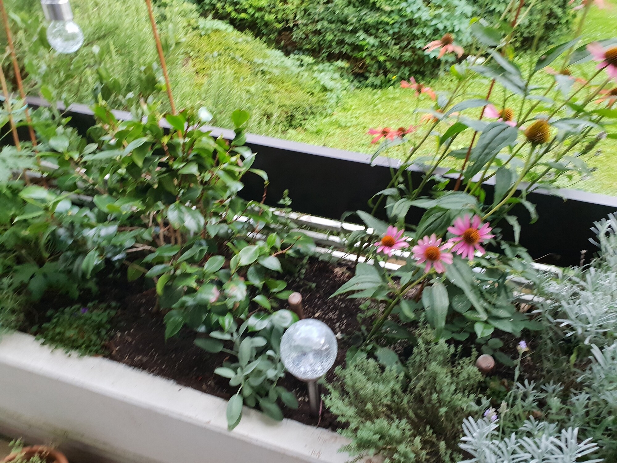 Immobilienbild