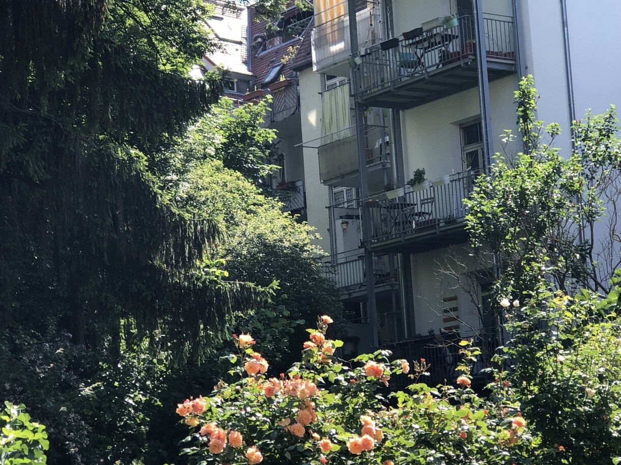 Immobilienbild