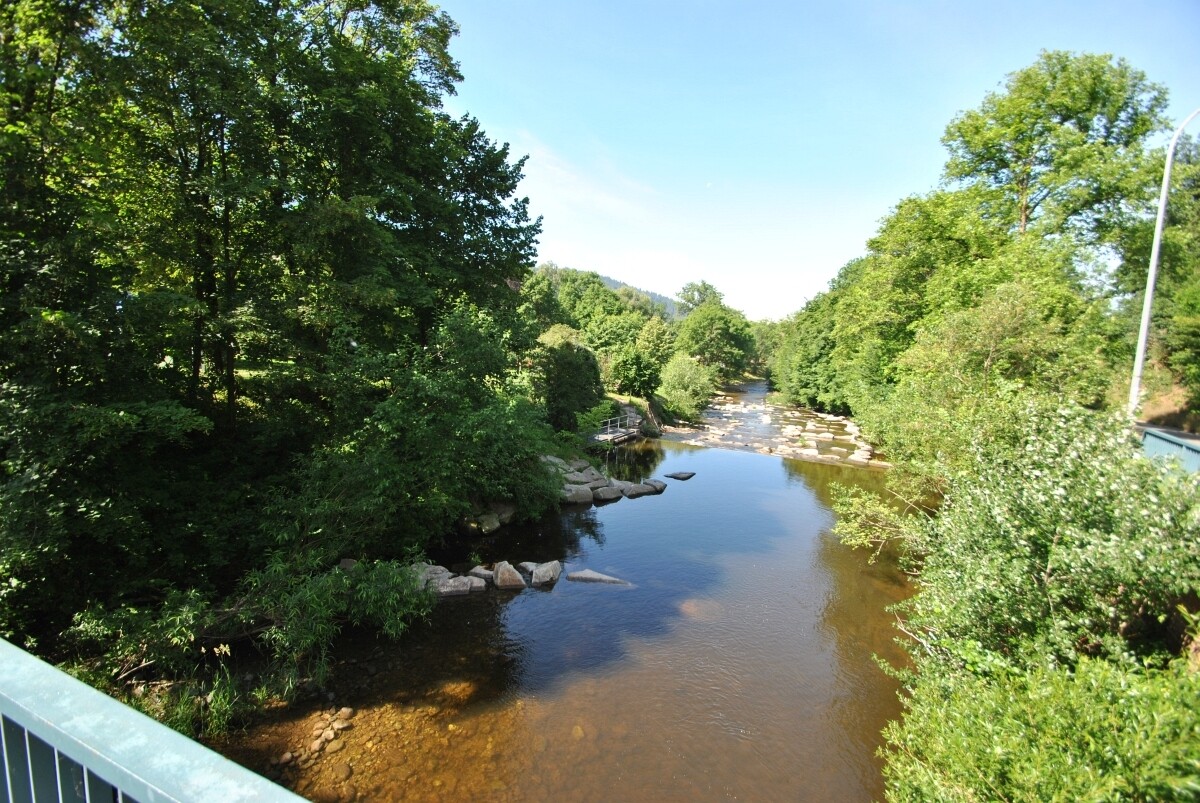 Idyllische Atmosphäre entlang der Dreisam