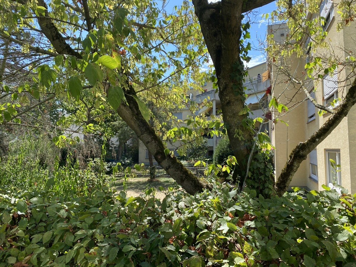 Immobilienbild